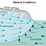 Mangrove Functions as a Prevention of Seawater Intrusion
